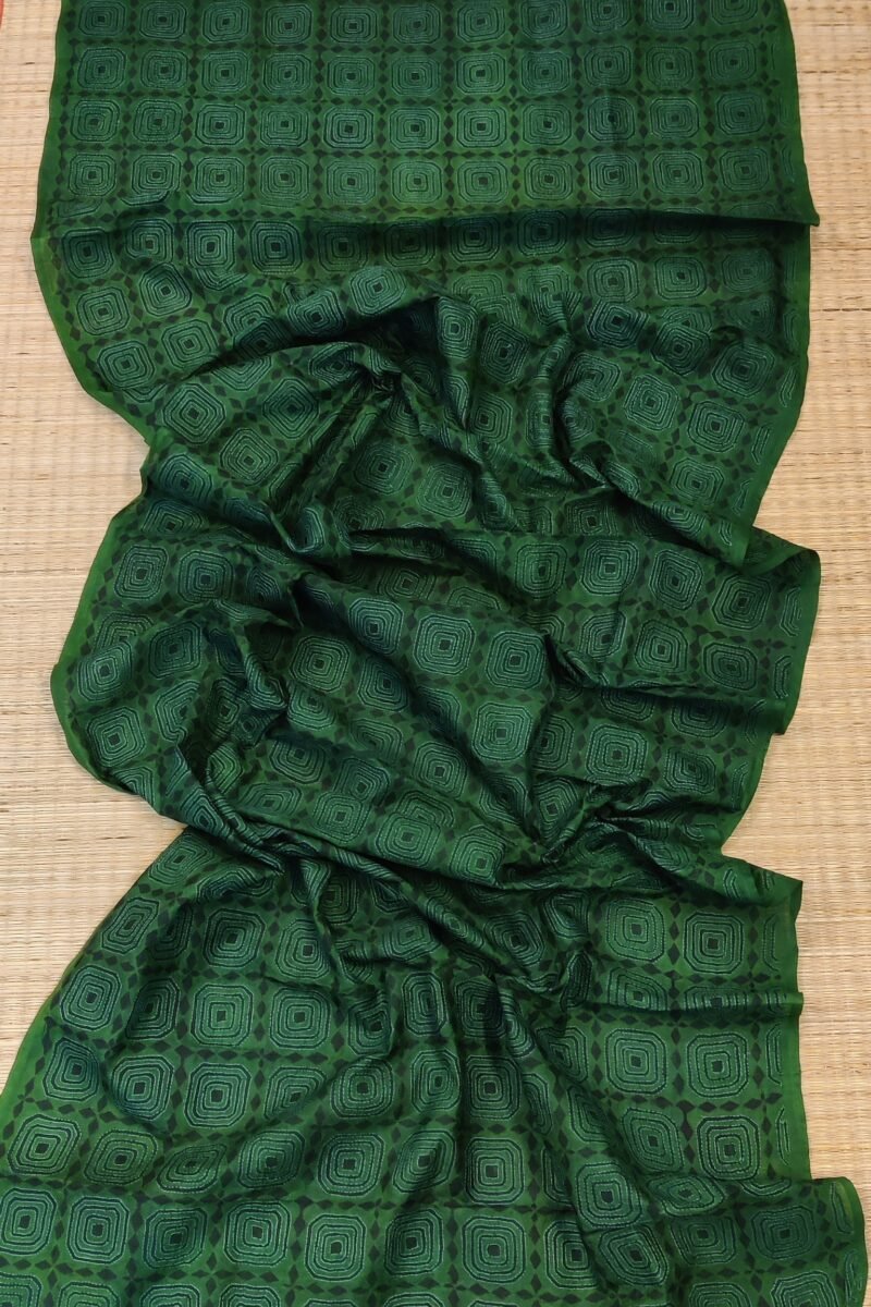 Dreamy Drapes - Dark Green Tussar Silk Dupatta with Black Diamond Motifs and Red-Green Kantha Stitch - Image 4