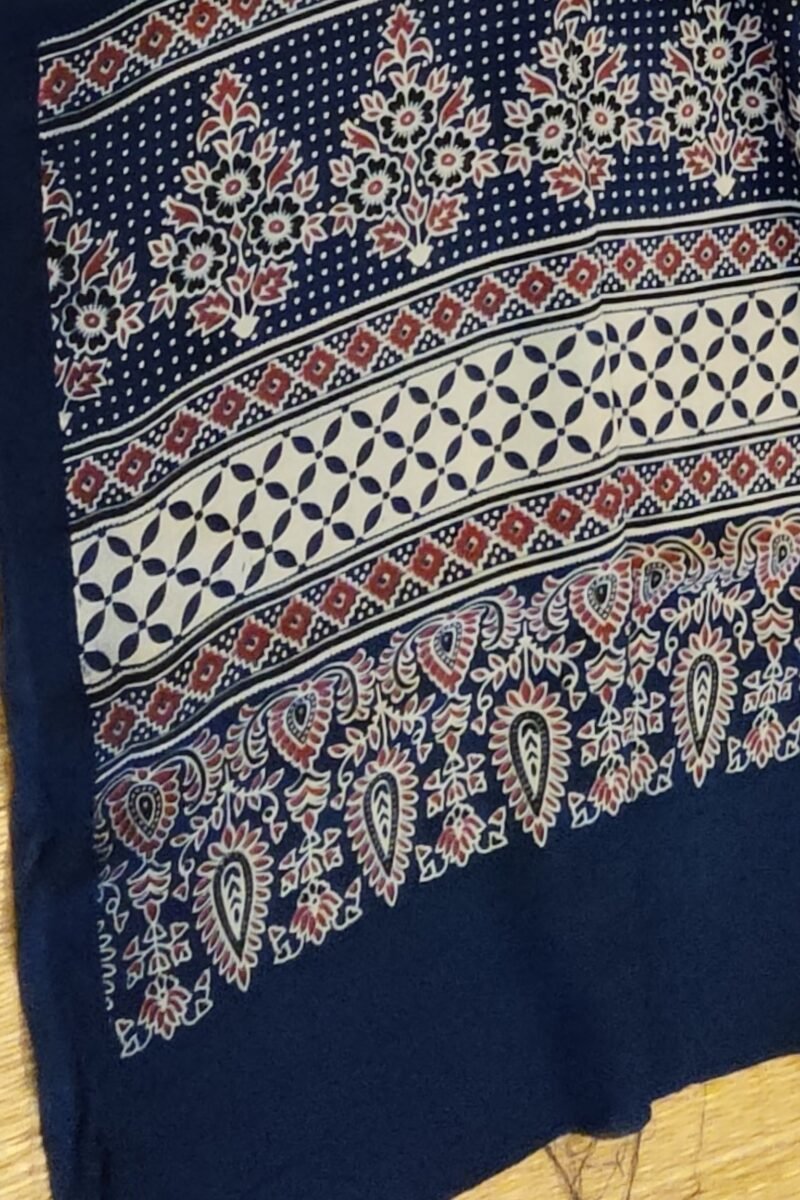 Dreamy Drapes - Blue Multi-Motif Ajrakh Cotton Silk Dupatta with Flower Stem Borders - Image 8