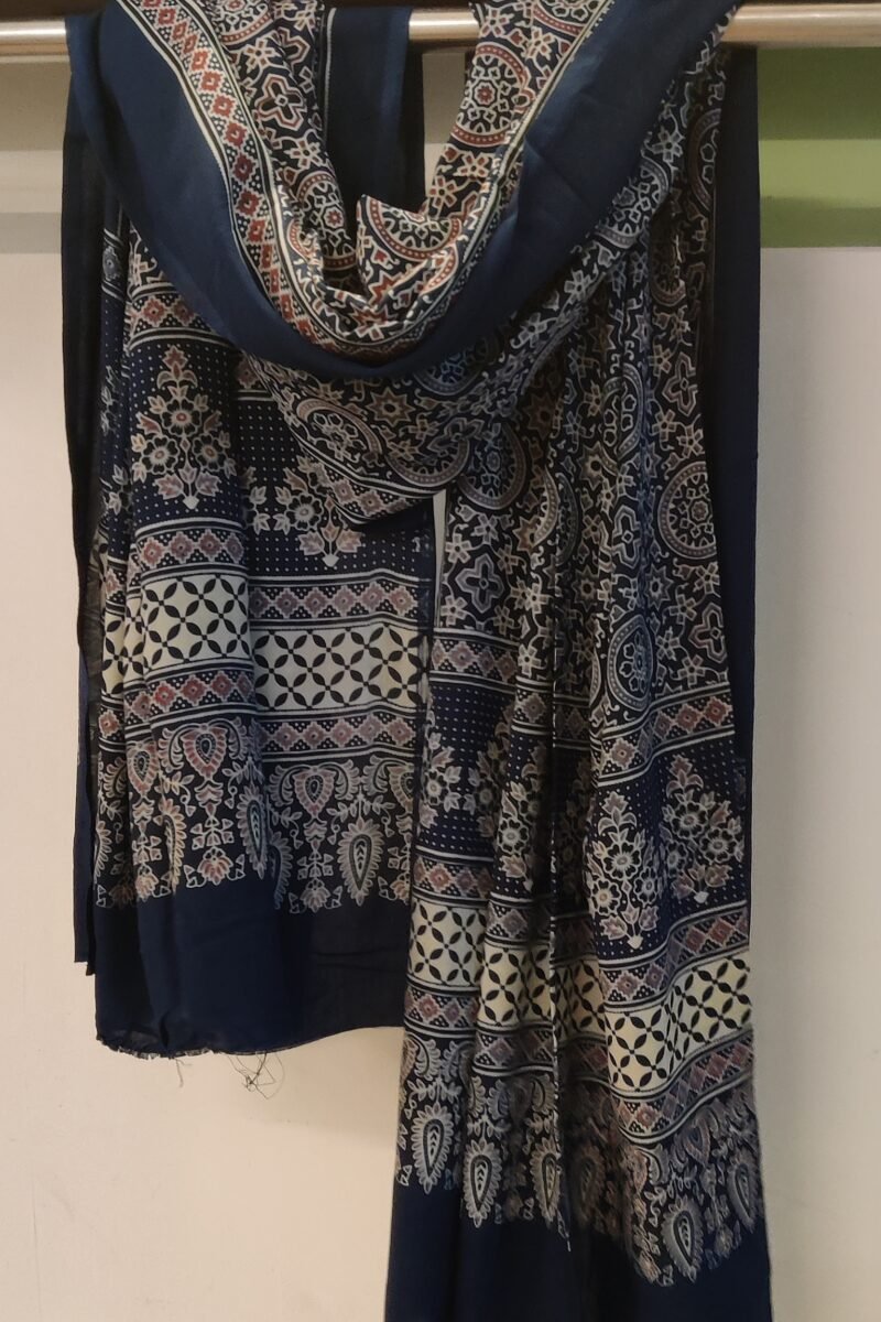 Dreamy Drapes - Blue Multi-Motif Ajrakh Cotton Silk Dupatta with Flower Stem Borders