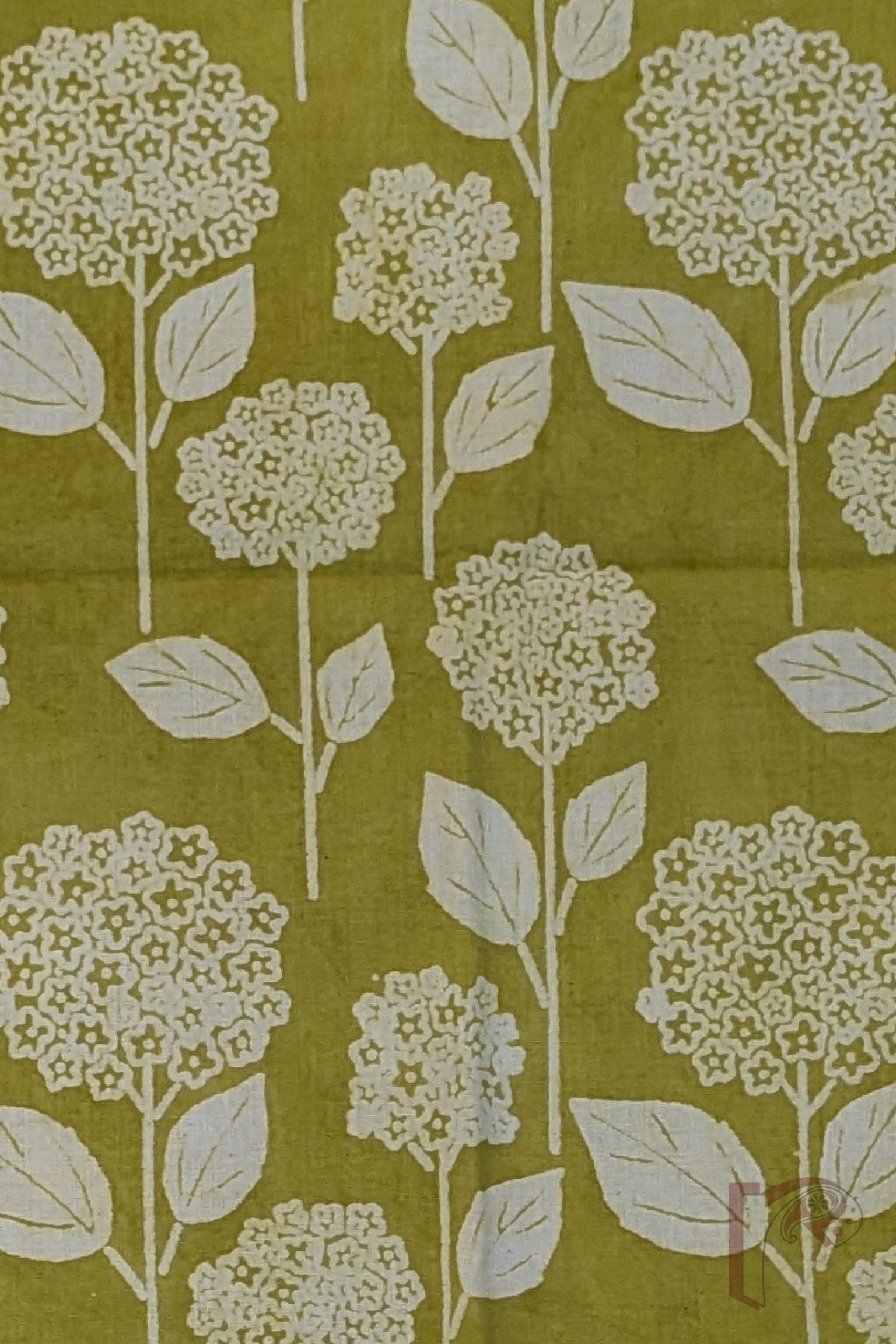 Suit stories – Lime Green Dandelion Floral Print Mulmul Cotton Suit Set with Polka Stripe Bottom - Image 4