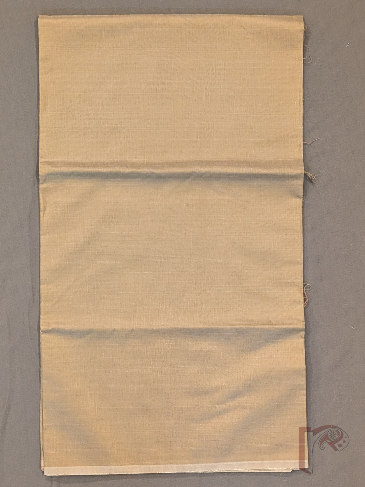Suit Stories – Light Brown Suit Material with Gold Zari Border - Image 3